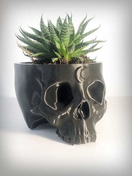Large Skull Planter With Moon Detail