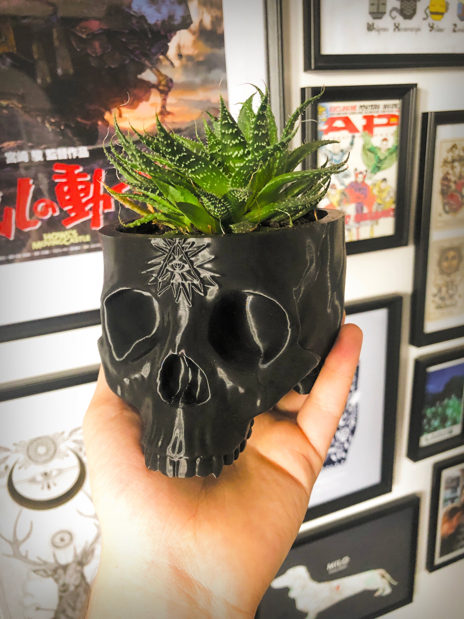 skull plant pot large Large Skull Planter With All Seeing Eye Detail