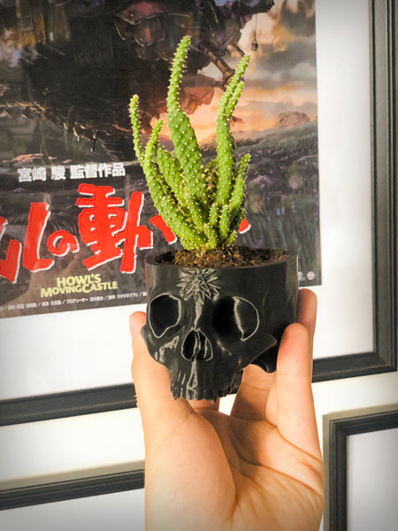 Medium Skull Planter With All Seeing Eye Detail