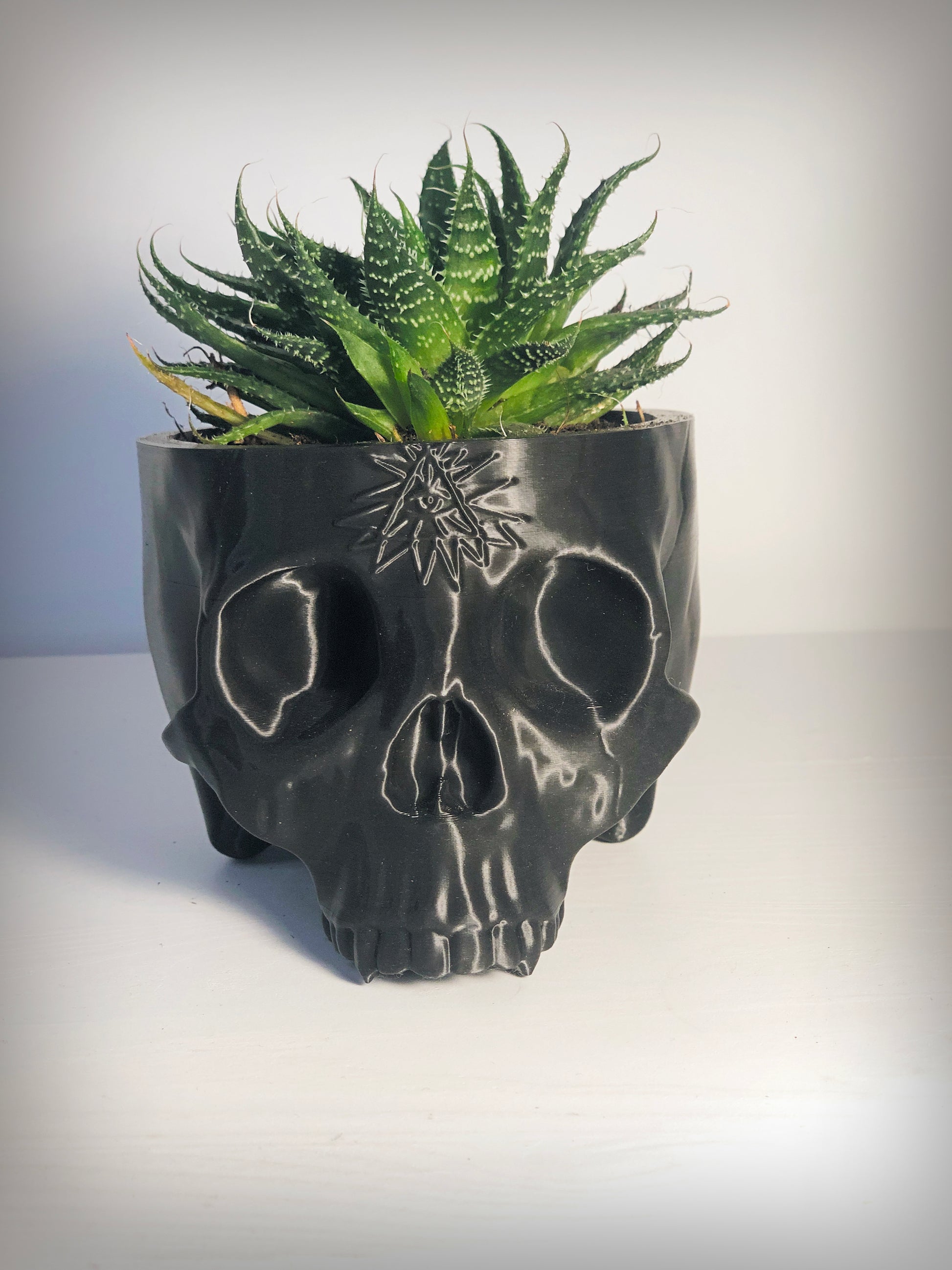skull planter pot Large Skull Planter With All Seeing Eye Detail – Mayhem Made