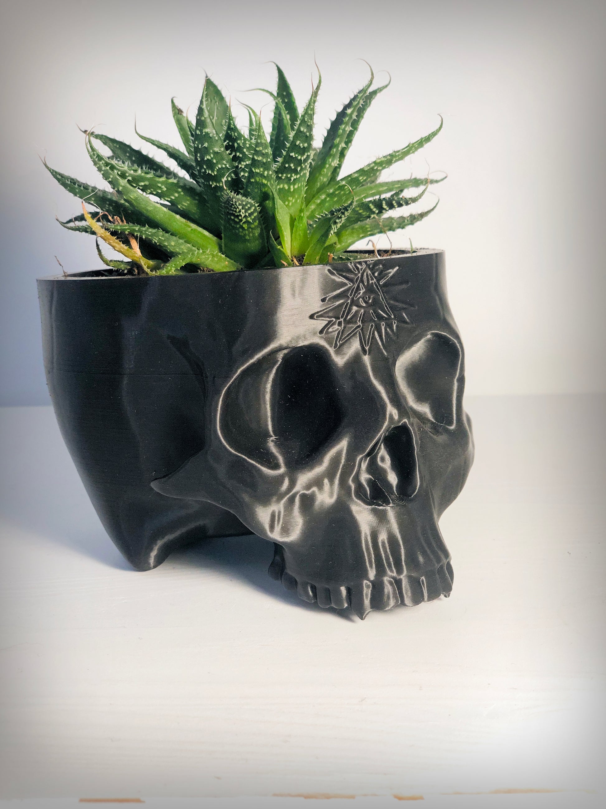 skull plant pot large Large Skull Planter With All Seeing Eye Detail