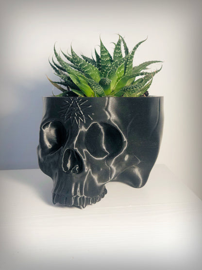 Large Skull Planter With All Seeing Eye Detail