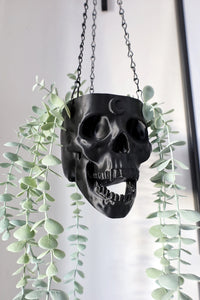 Moon Skull Hanging Planter