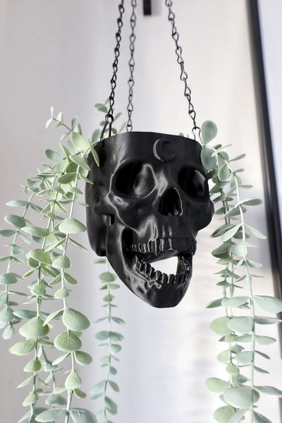 Moon Skull Hanging Planter