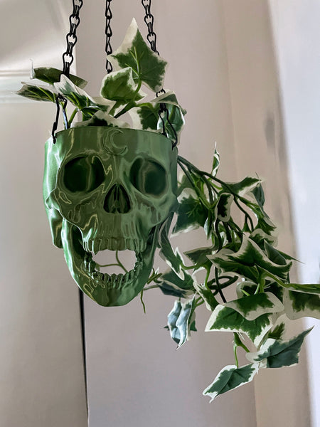 Moon Skull Hanging Planter